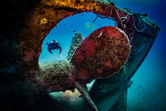 2 Scuba Fun Dives for Certified divers in St Paul's Bay - Key points to know before you book