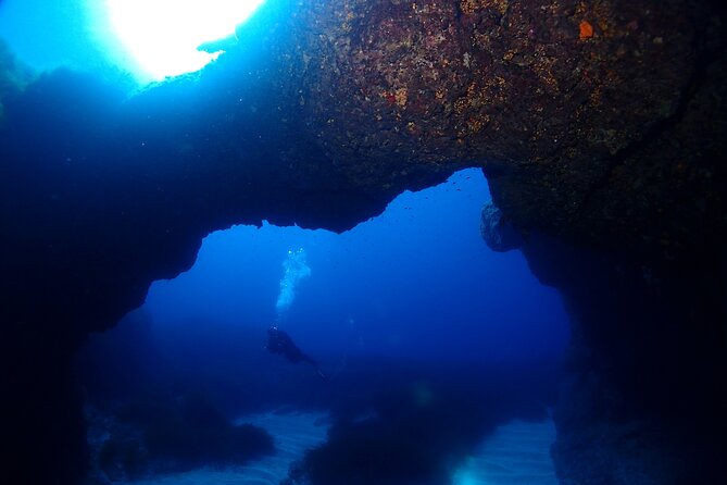 2 Scuba Fun Dives for Certified divers in St Paul's Bay - Reefs, caves, jellyfish, and a possible WWII wreck