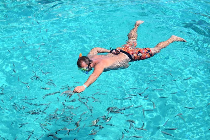 Blue Lagoon, Beaches and Bays Catamaran Sailing Tour - What the Sea Breeze offers onboard