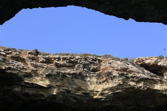 Comino, Blue Lagoon and Caves. Tour A - Food, seating, and onboard facilities