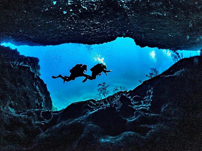 DiveSnap Underwater Sports Thrills:Lantern Point & P31 Wreck - Who will get the most from this charter
