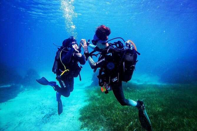 First Experience Scuba Diving - Is $96.55 good value?