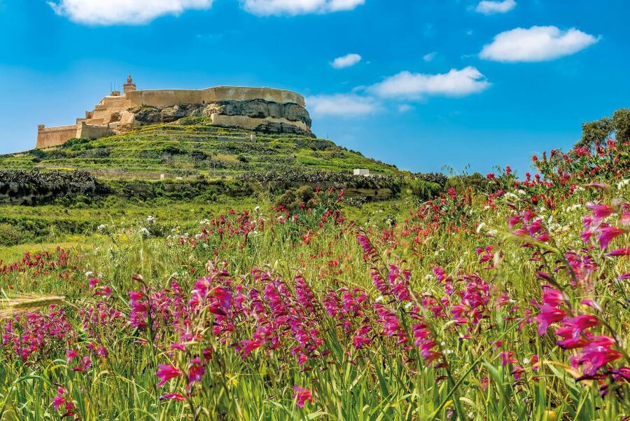 From Malta: Gozo Day Trip Including Ggantija Temples - Lunch beside Xlendi Bay