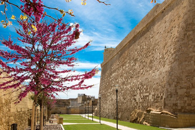 Gozo & Comino Islands, Blue Lagoon & Seacaves Tour - Is this Gozo and Comino tour worth booking?