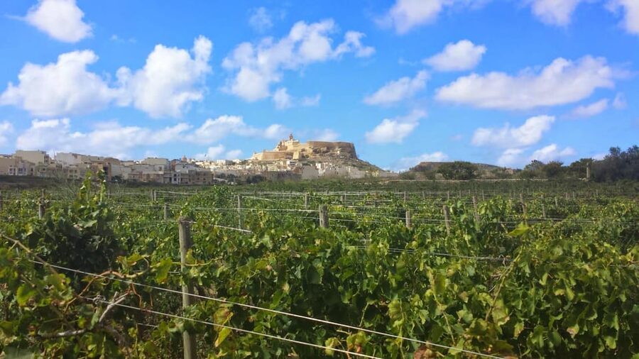 Gozo Victoria Walking Tour - Stories behind Victoria’s buildings
