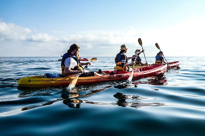 Guided Kayak Tour in St Paul's Island - Booking value, timing, and cancellation terms