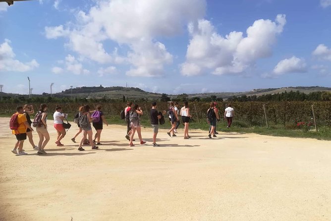 Half Day Private Tour Around Malta - Pace, comfort, and mobility