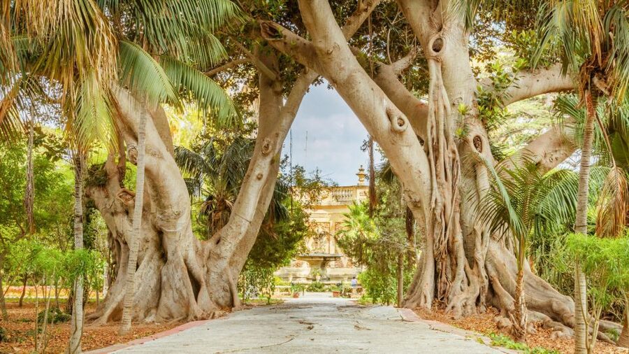 Highlights of Malta Tour:Icons and Experiences of the Island - What this four-hour Malta tour is really designed to do