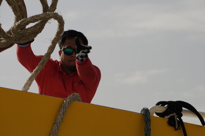 Highspeed Catamaran Crossing Between Malta and Gozo - Why the central route can save your day