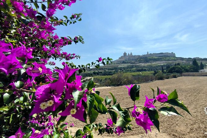 Island Day Tour with a Private Local Driver - Mdina, two hours inside Malta’s Silent City