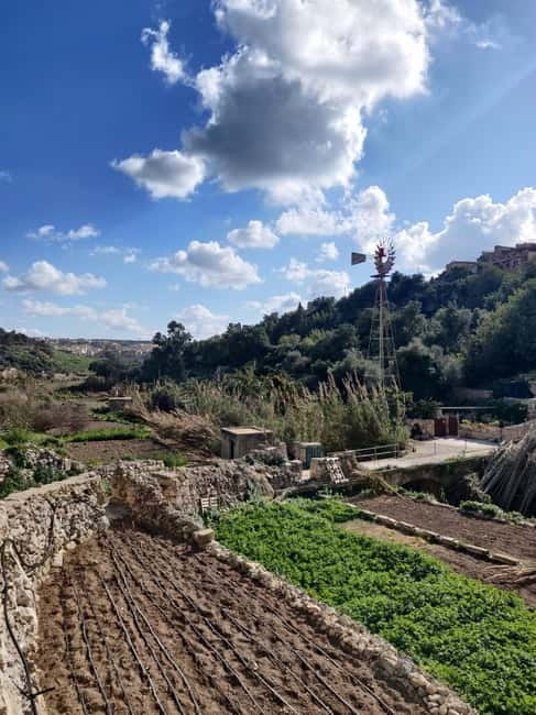 Island of Gozo: Private Tour - Ramla Bay and Calypso Cave
