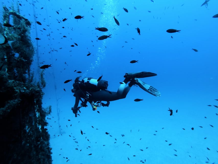Malta: 2 Scuba Fun Dives for Certified divers - Two Malta scuba sessions in one morning