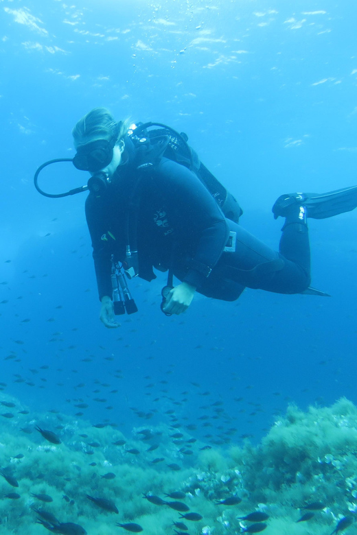 Malta: 2 Scuba Fun Dives for Certified divers - Small groups and the instructor experience