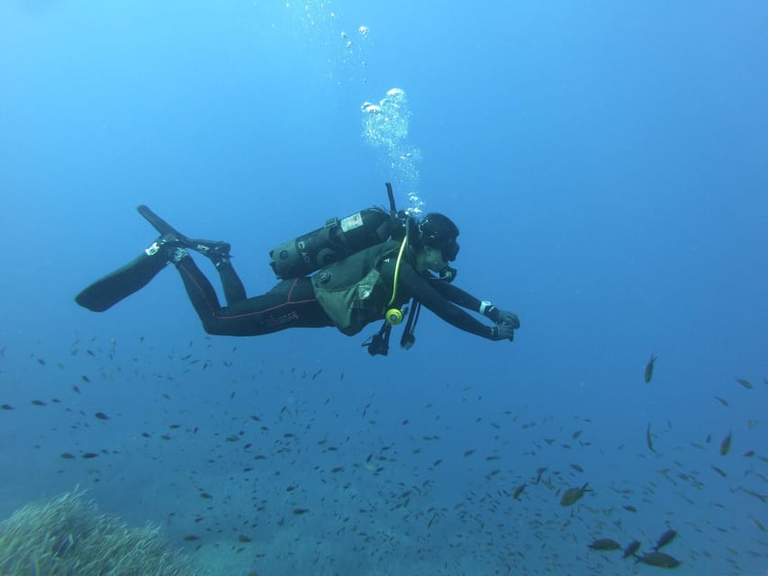 Malta: 2 Scuba Fun Dives for Certified divers - Should you book these two Malta sessions?