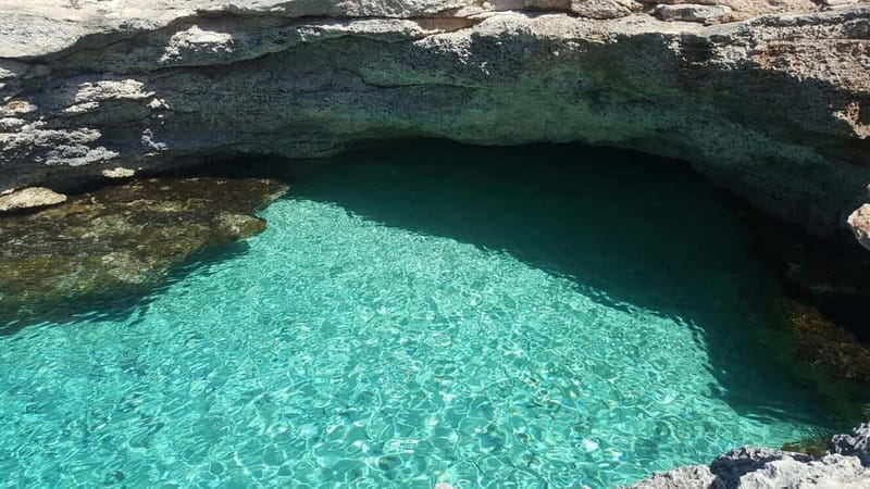 Malta: Comino, Blue Lagoon, + Sea Caves Day Trip - Who will enjoy this cruise most?