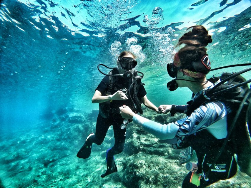Malta: First Experience Scuba Diving Lesson - Timing, meeting points, and practical planning