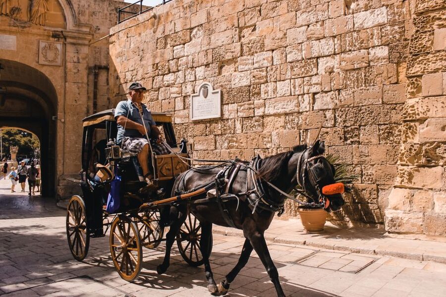 Malta: Highlights of Malta & Mdina Full Day Tour with Lunch - Inside the Mosta Rotunda