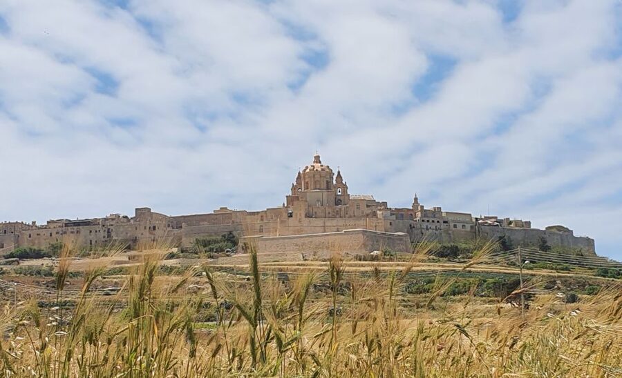Malta: Mdina and Rabat Tour with Local Guide - What $24 buys you