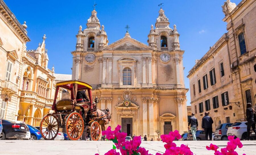 Malta: Mdina, Dingli Cliffs and San Anton Botanical Gardens - Who will get the most from this tour