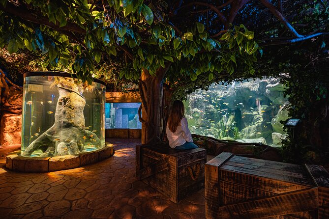 Malta National Aquarium Entrance Ticket - What the Malta National Aquarium visit is really like