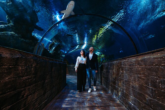 Malta National Aquarium Entrance Ticket - Reptiles, insects, and amphibians