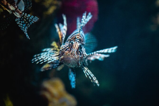 Malta National Aquarium Entrance Ticket - Is $20.30 good value?