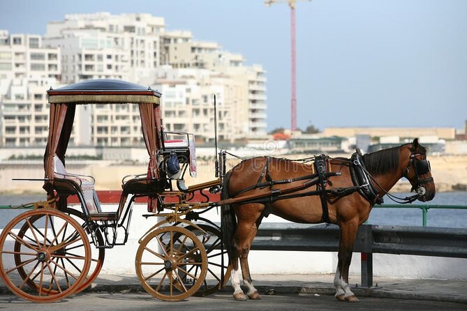 Malta Private tour: 5hr Mosta Dome, Mdina, Dingli Cliff's & Blue Grotto - What the Driver Adds to the Day