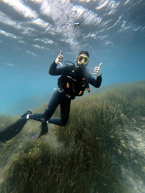 Malte : Baptême de plongée sous-marine en Français - Who should book this experience
