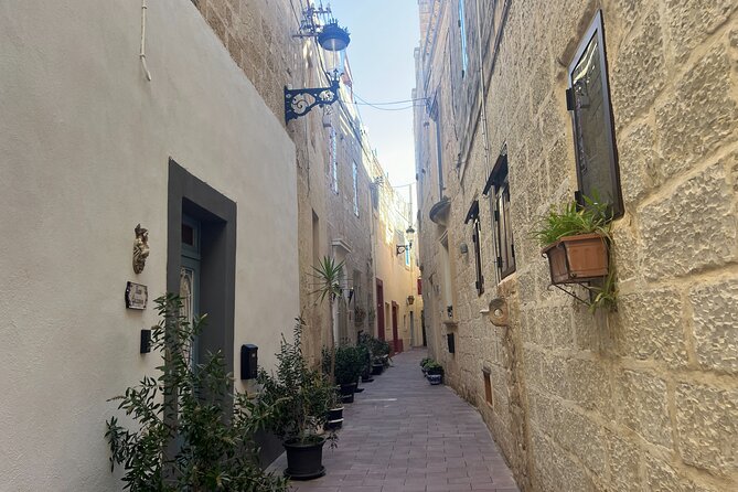 Mdina and Rabat Walking Tour inc. Catacombs and St. Paul's Grotto - Who will get the most from this walk?