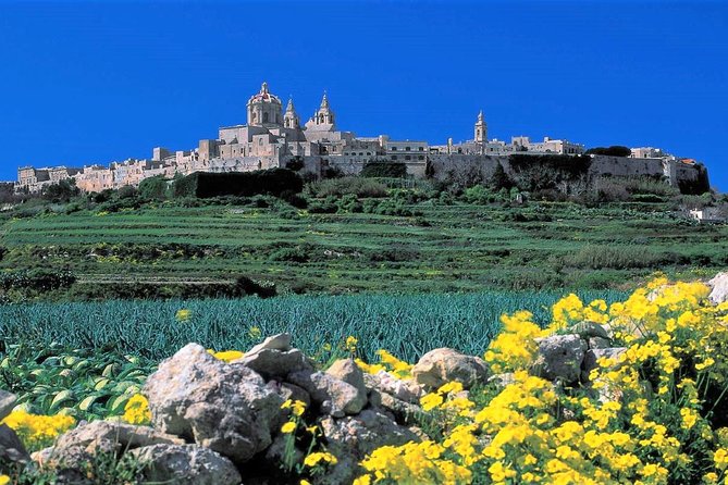 Mdina, Dingli cliffs and San Anton Gardens guided tour - Who should choose this tour?