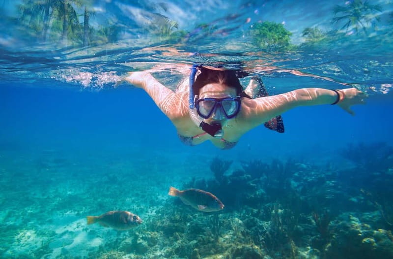 Mellieha: Round Comino, Blue Lagoon & Gozo Cruise with Water - Who should book this cruise?