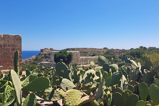 North Malta Quad Bike Tour with Land or Sea Views and Swimming - Mellieha Bay, Armier Bay, and the Blue Water