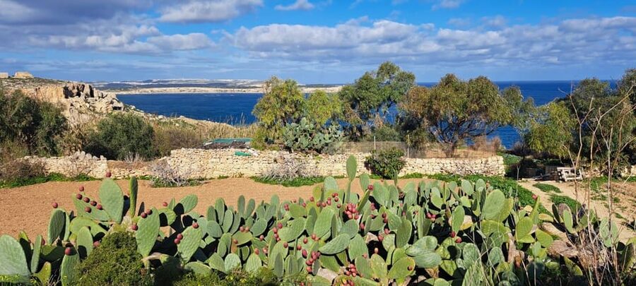 North Malta: Quad Bike Tour with Scenic Land, Sea & Swimming - Is quad riding suitable for first-timers?