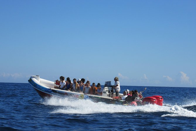 Okikoki Banis - Comino Blue Lagoon Speedboat Trip- Fast Ferry - A quick ride from Spinola Bay to Comino