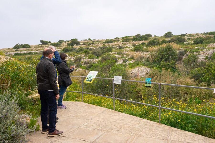 Prehistoric Temples of Malta Tour - Transport, pickup, and the cost of convenience