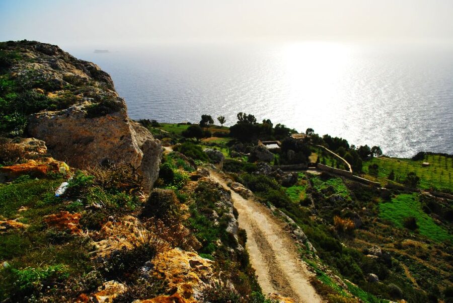 Scenic Tour by Vintage Bus to Buskett Garden & Dingli Cliffs - Key points to know before booking