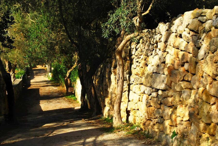 Scenic Tour by Vintage Bus to Buskett Garden & Dingli Cliffs - Palazzo Falson, an old house inside Mdina