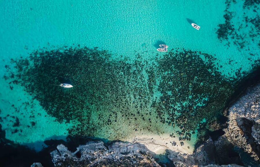 Sliema/St. Paul's: Gozo, Comino & Blue Lagoon Ferry Cruise - What the $40 price really buys you
