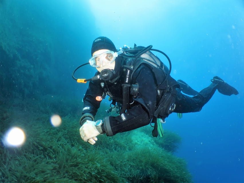SSI Try Scuba Diving in the sea - Key points to know before booking