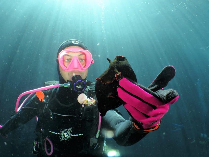 SSI Try Scuba Diving in the sea - Thirty minutes at the St. Pauls Bay house reef