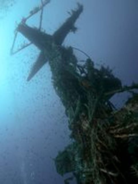 St Julians: Discover Scuba Diving Experience - The 30-minute briefing: small details that matter underwater