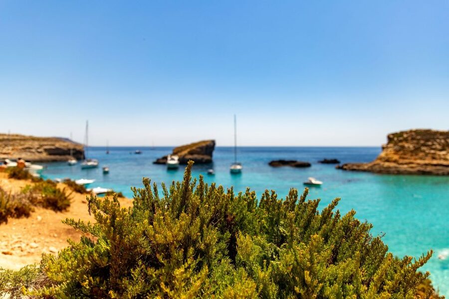 St Paul's Bay: Comino, Blue Lagoon, Gozo, & Caves Boat Tour - St Pauls Island ends the day with a short swim
