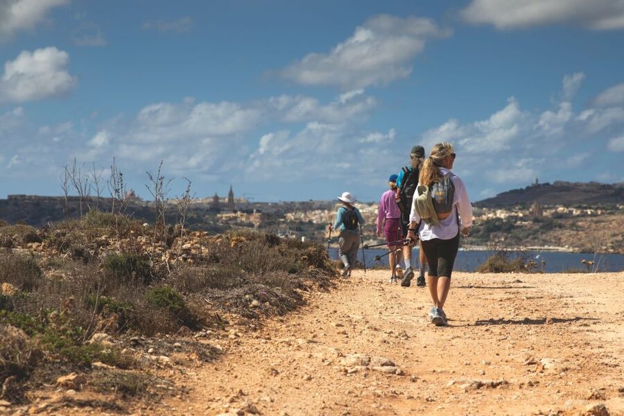St. Paul's Bay: Gozo, Comino & St. Paul's Bus & Boat Tour - Who should book this excursion?
