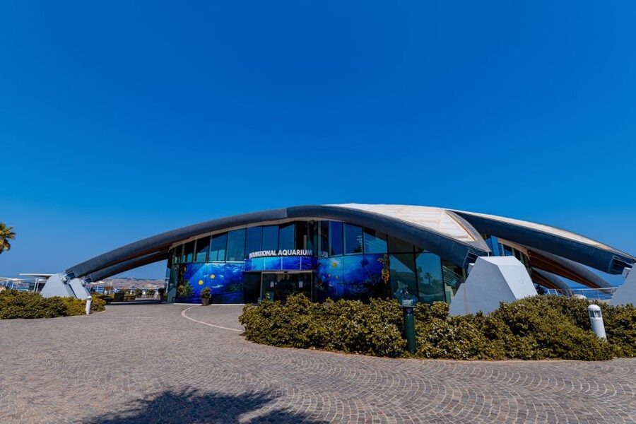 St Paul's Bay: Malta National Aquarium Entry Ticket - Inside Malta’s starfish-shaped aquarium