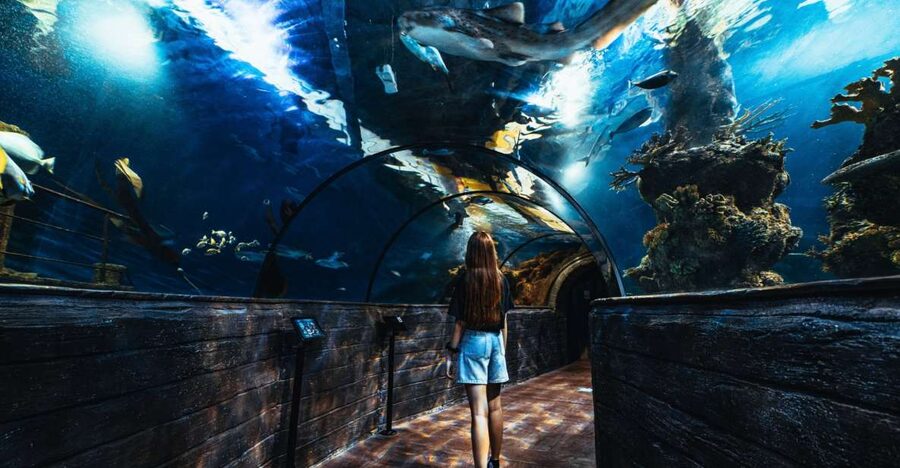 St Paul's Bay: Malta National Aquarium Entry Ticket - Malta-themed displays give the route a local feel