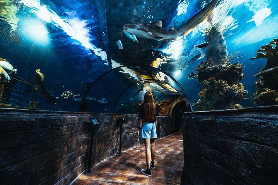 St Paul's Bay: Malta National Aquarium Entry Ticket - Conservation information makes the tanks more meaningful