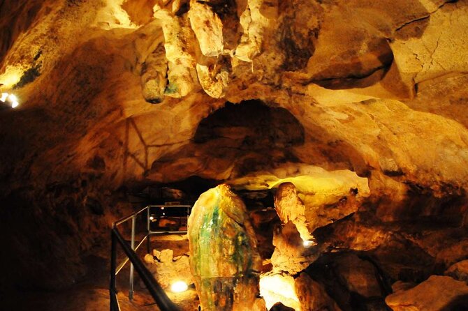 Temples Tour (Pick-up, Transfer, Tickets & Drop-off Included) - Għar Dalam, a change from temples to fossils