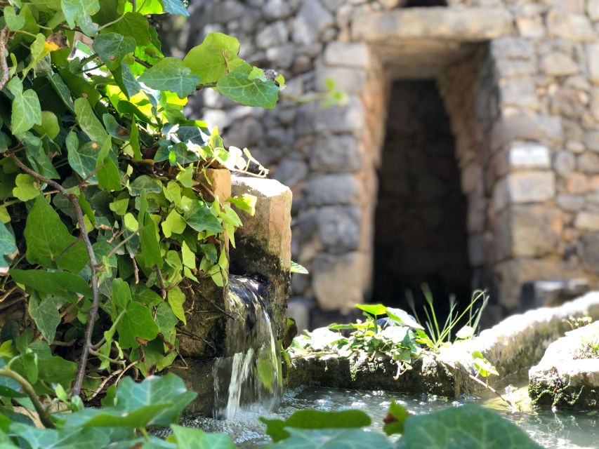 The Limestone Heritage Park and Gardens (Entry Ticket) - See geology, museum objects, and ancient stonework