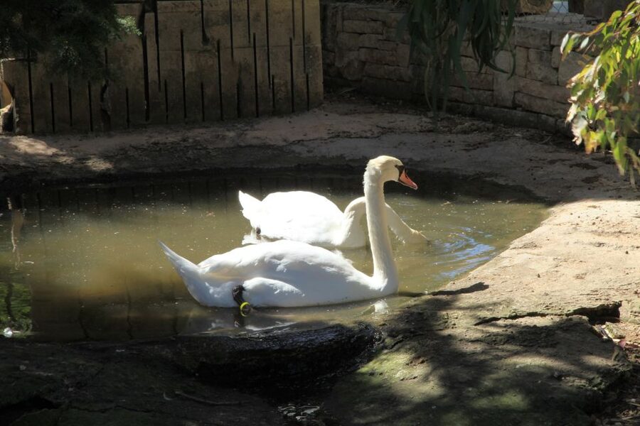 The Limestone Heritage Park and Gardens (Entry Ticket) - How much time should you allow?