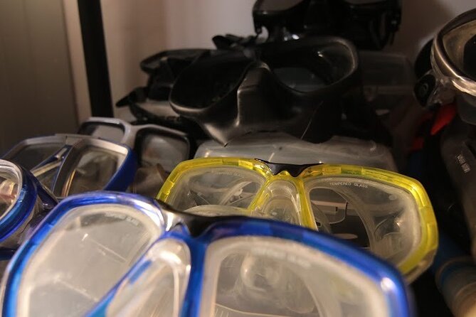 Two Morning Dives in Gozo for Certified Diver - Why this Gozo morning works well for certified scuba users